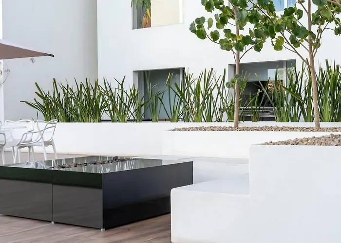 Apartment 2br Downtown Cabo Walk To & Dining Cabo San Lucas